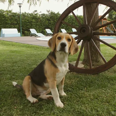 Quinta Sobral Prestige - Rustic House *