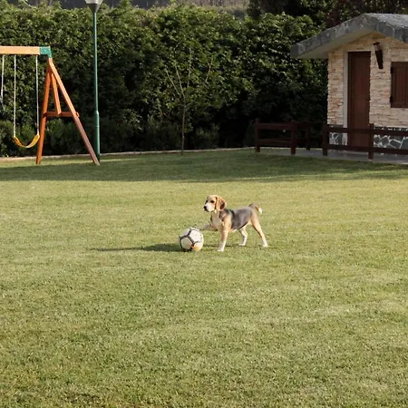 Quinta Sobral Prestige - Rustic House * Sobral de Monte Agraço