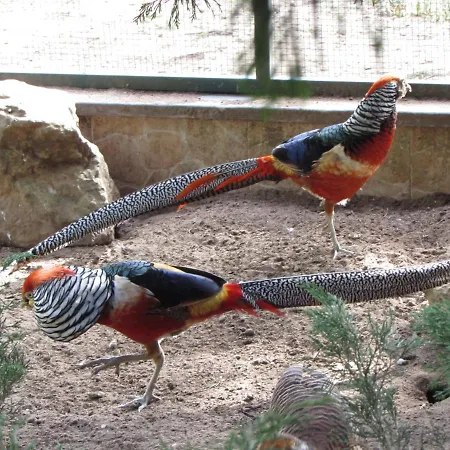 Quinta Sobral Prestige - Rustic House Sobral de Monte Agraço