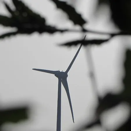 Дом отдыха Quinta Sobral Prestige - Rustic House Собрал-ди-Монти-Аграсу