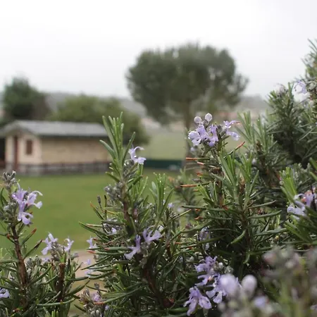 Quinta Sobral Prestige - Rustic House Дом отдыха