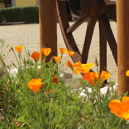 Дом отдыха Quinta Sobral Prestige - Rustic House *