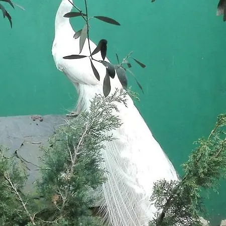 Quinta Sobral Prestige - Rustic House Собрал-ди-Монти-Аграсу