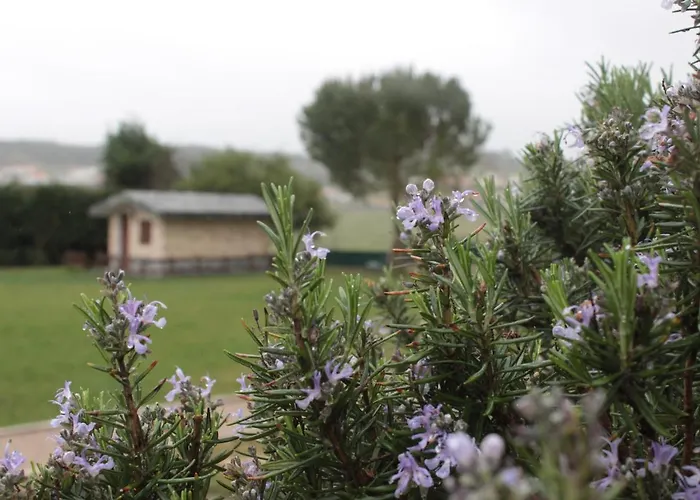 Quinta Sobral Prestige - Rustic House Feriehus